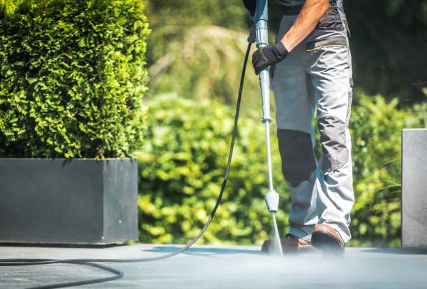 Best Animal Enclosure Cleaning  in Palos Heights, IL