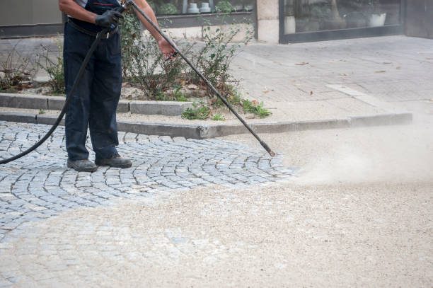  Palos Heights, IL Pressure Washing Pros